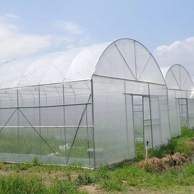 Plastic Covering Single Span Greenhouse