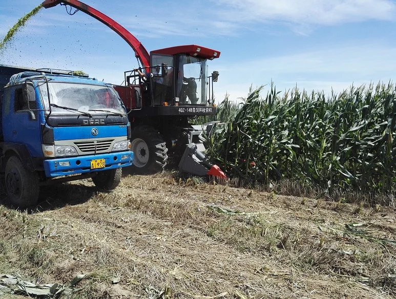 
Forage Header for sale 