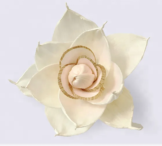 Custom AP handmade wood decorative dried flower with cotton string for reed diffuser