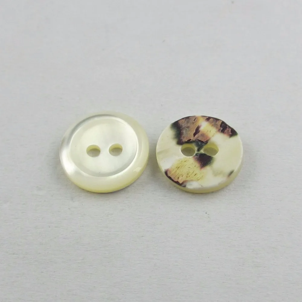 nature sea trocas shell button