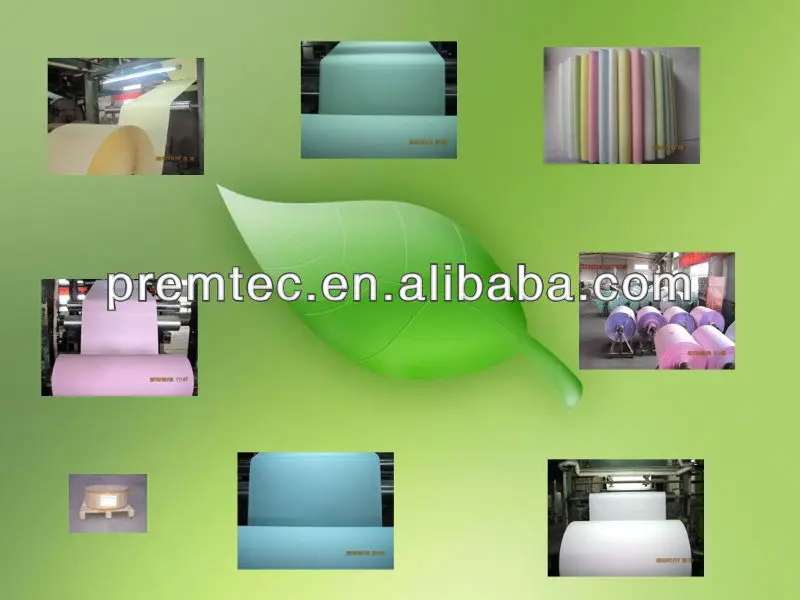 (BV Certification main product) carbonless paper