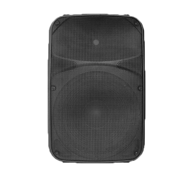 Class D Amplifier Module Active PA Speaker Sound System Wireless Speaker