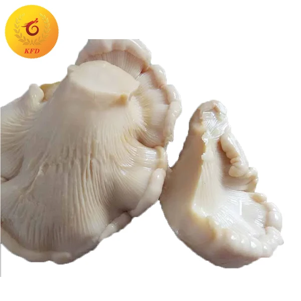 
Canned Bailing Mushroom in Brine Price 