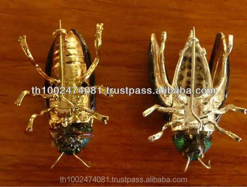 
beetle wings 2019 Hot sale beetle brooches 