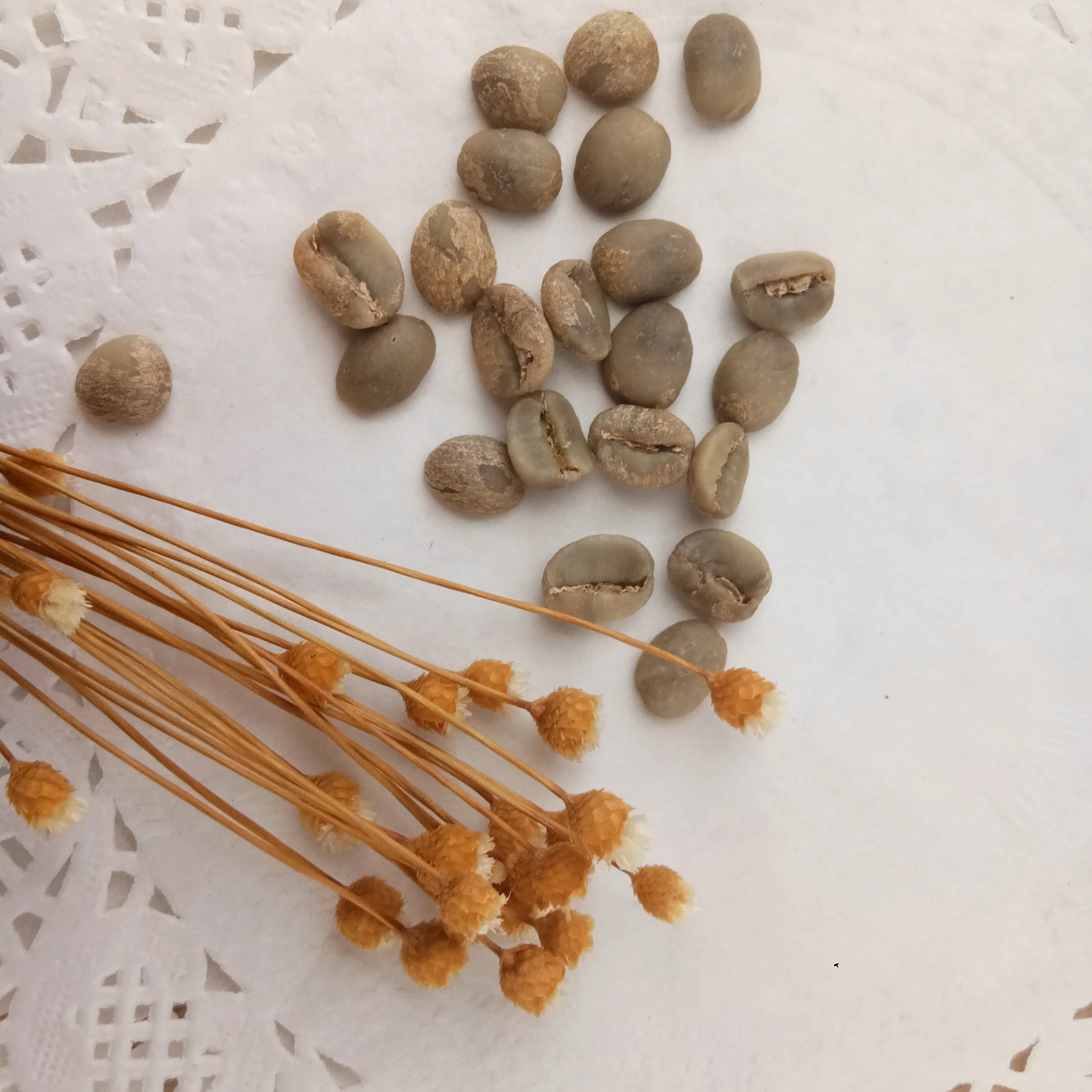 
Chinese yunnan green coffee beans,arabica type,unroasted coffee beans 