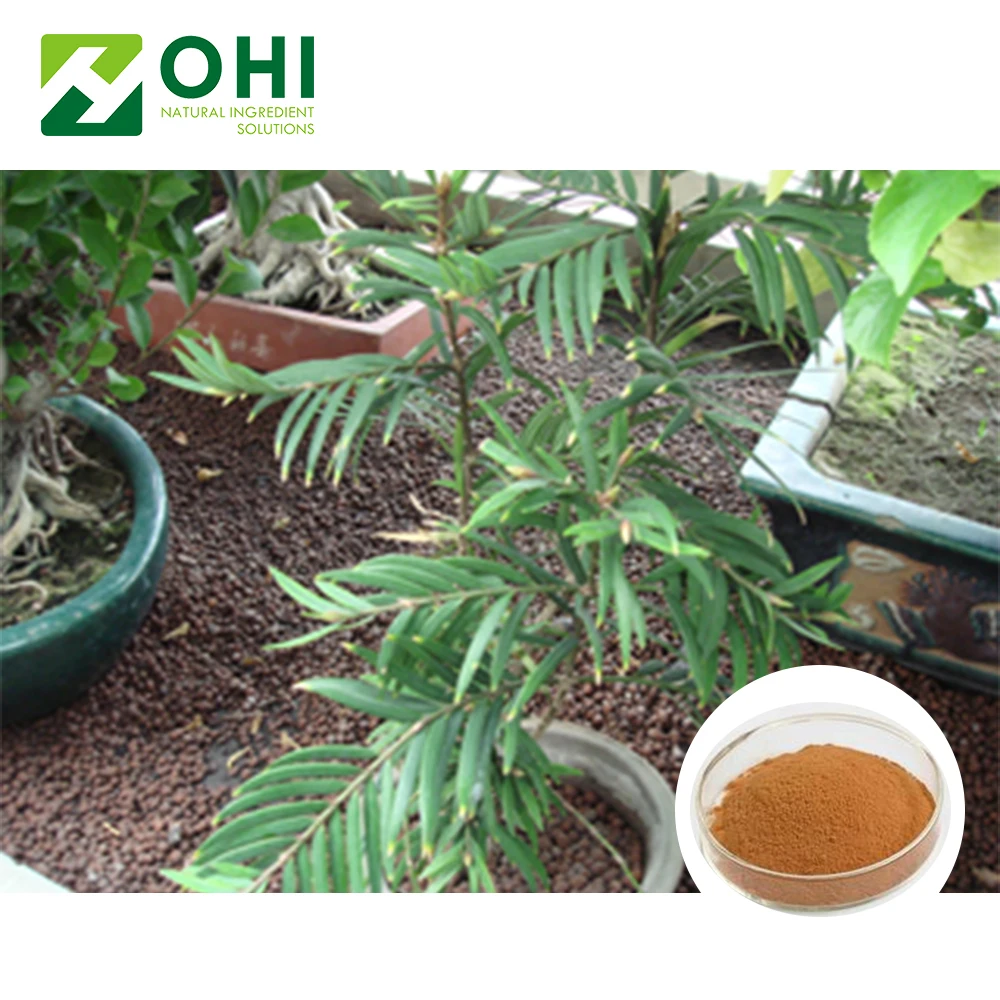 active Ingredient supplier nature Amentoflavone Selaginella Tamariscina Extract