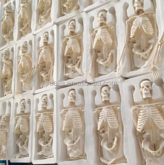 Mini Skeleton model