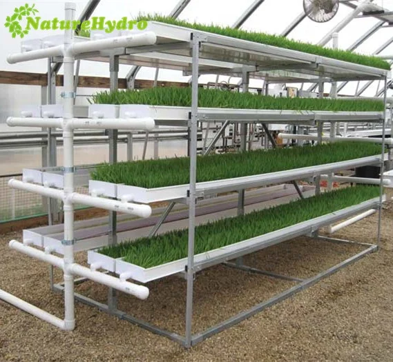 NFT Hydroponic Fodder Channel for Hydroponic Fodder Machine