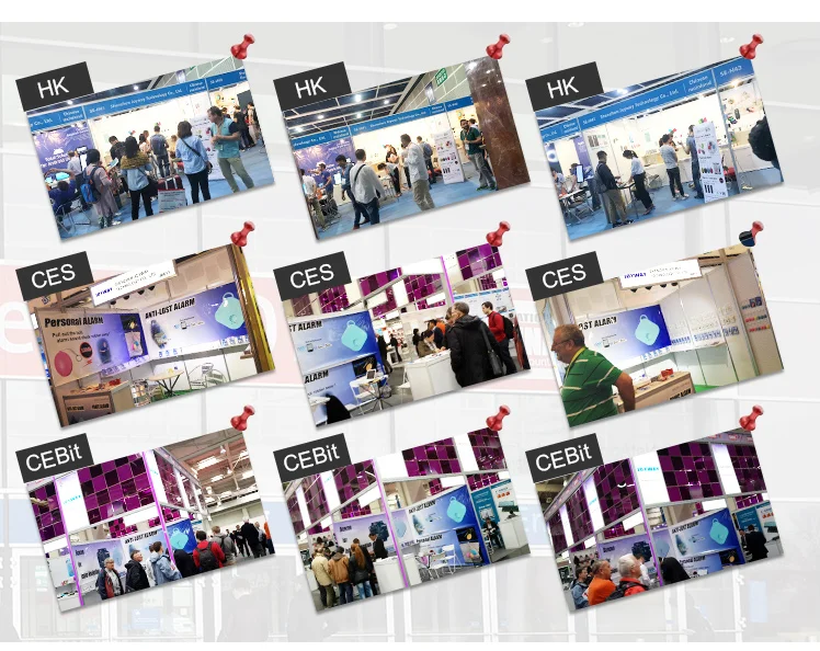 paste-pic-dp_uuid_c037t