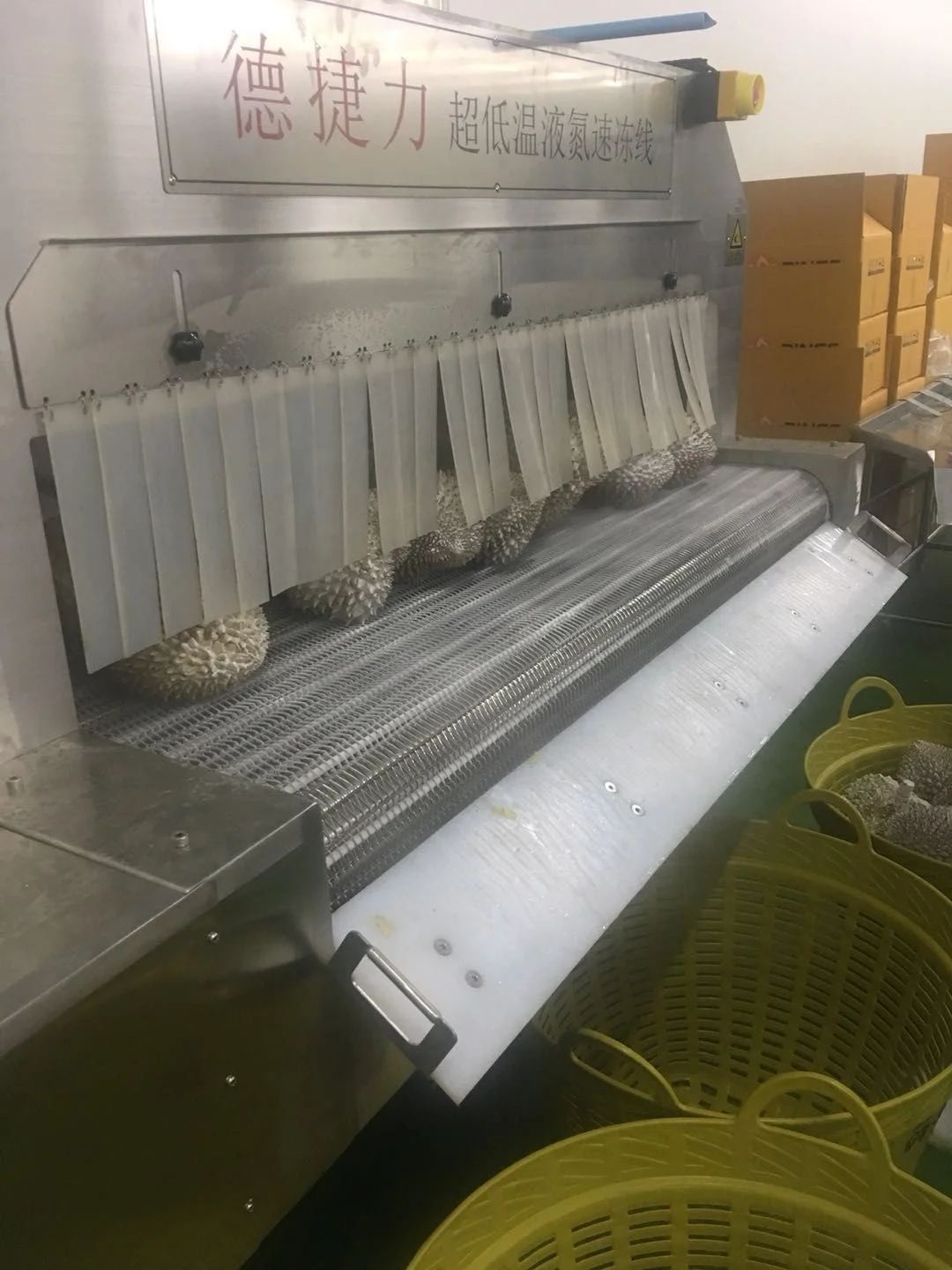 Промышленный непрерывный туннель DJL IQF, быстрая морозильная камера с высокой скоростью, морозильник с жидким азотом, дурийский туннельный морозильник