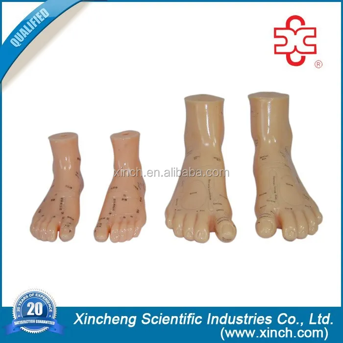 Массаж ног иглоукалывание модель с 2 размер ( 12 см, 17 см )