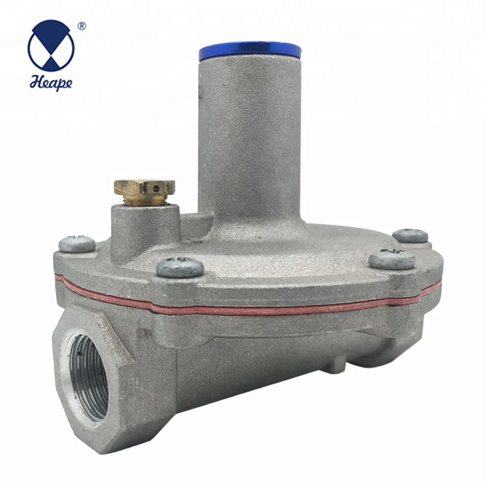 
HEAPE Professional Industrial Gas Regulator 