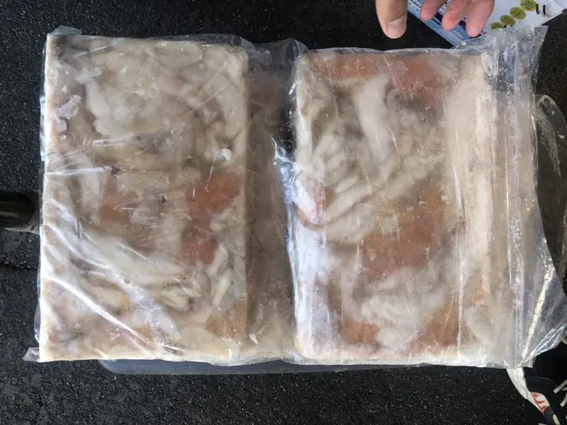 Frozen Gigas squid egg