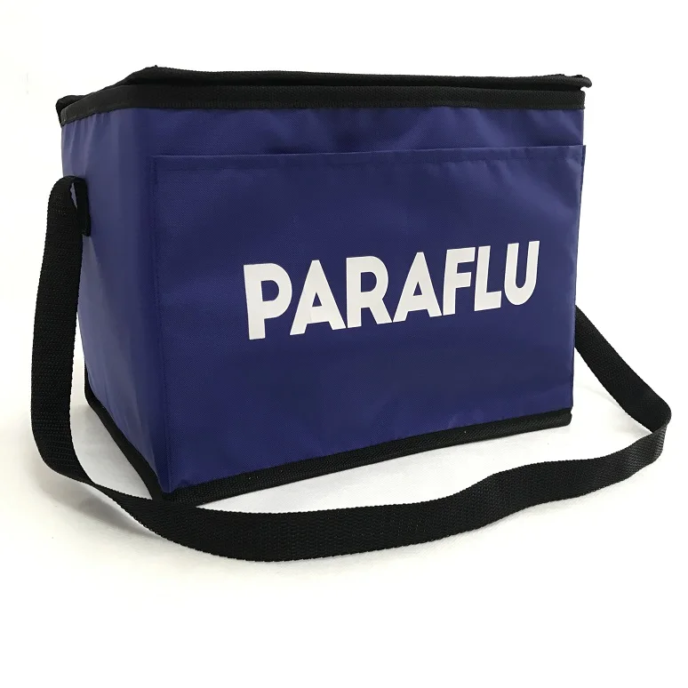 China Zipper Disposable Food Divider Satchel Plastic Car Ice insulated lunch Cooler Bag