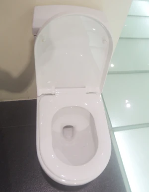 
High Grade Luxury Western New Product Fashionable One Piece Oem Wc Eco Toilet 