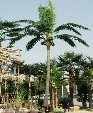 Big UV protected artifical areca catechu tree plastic palm tree plants for outdoor beach decor