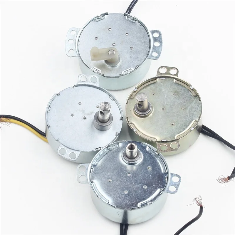 TY-TJP49 120 rpm synchronous motor 49tyj 12v ac