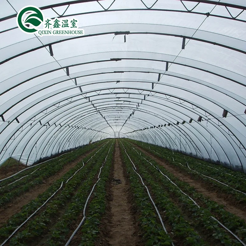 
Korean Greenhouse Hydroponic Single-Span Greenhouse Roofing Plastic For Sale 