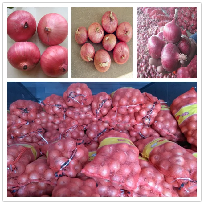 Large quantity of fresh red Onions for sale ,  seeking global onion buyers
