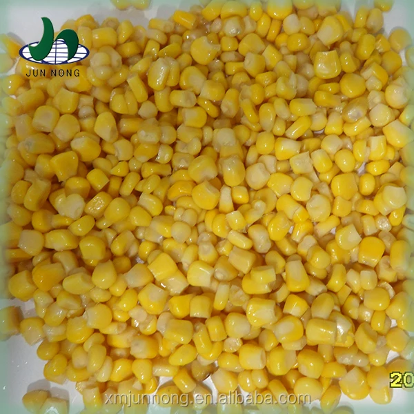 China suppliers good quality 3 years shelf life heathy food corn canned salty yellow maize in tamilnadu