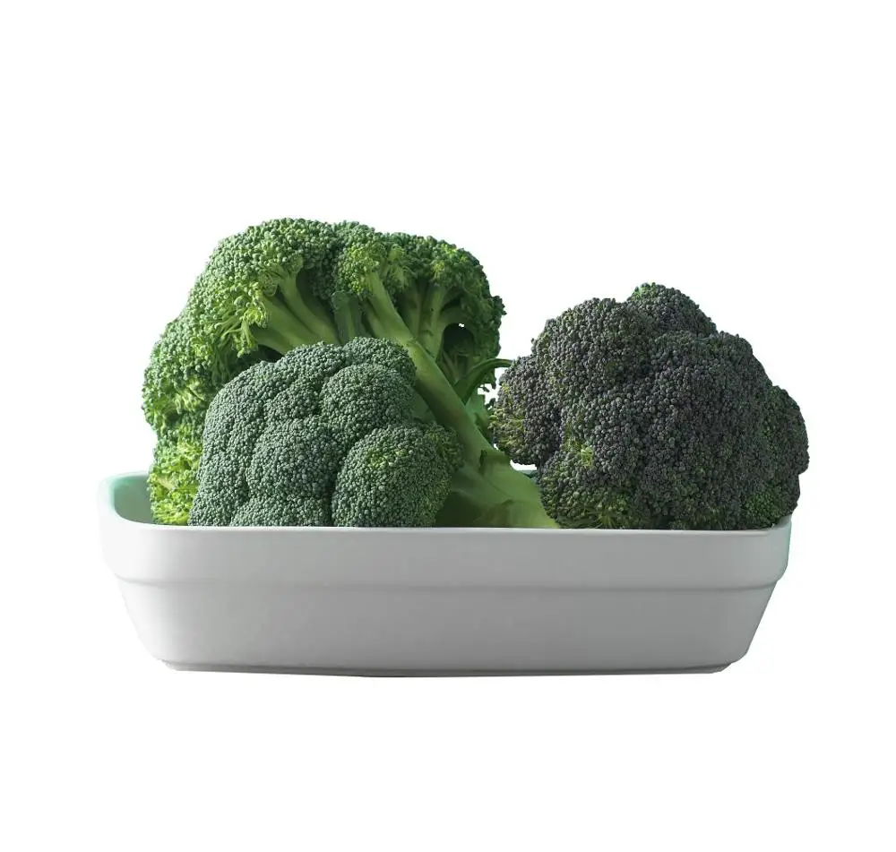 New Crop Frozen Broccoli IQF Broccoli Brocoli Made in China