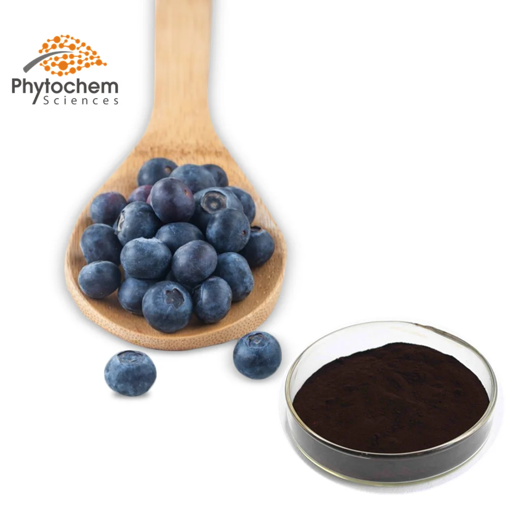
bulk blue berry fruit Freeze-dried blueberry powder 
