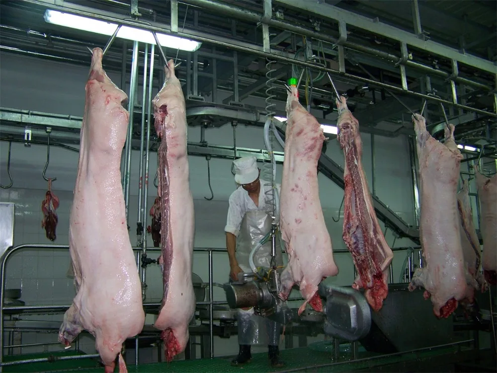 10heads~500heads/hour Complete Pig Slaughtering Line