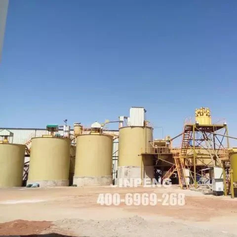 2019 New Complete Set 500tpd - 2000tpd Gold CIP Processing CIL Plant