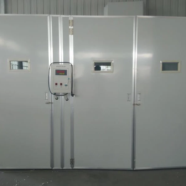 
Big Farm poultry chicken egg incubator 