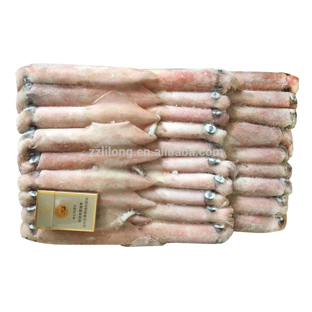 Frozen loligo squid whole and tentacle tube