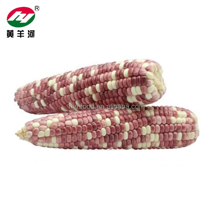 Frozen colorful corn