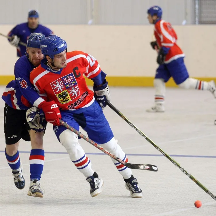 China Gold Supplier High Technology pp sport flooring for inline hockey