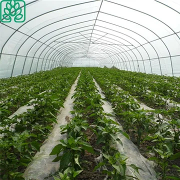 Aquaponics Growing Systems Plastic Film Greenhouse