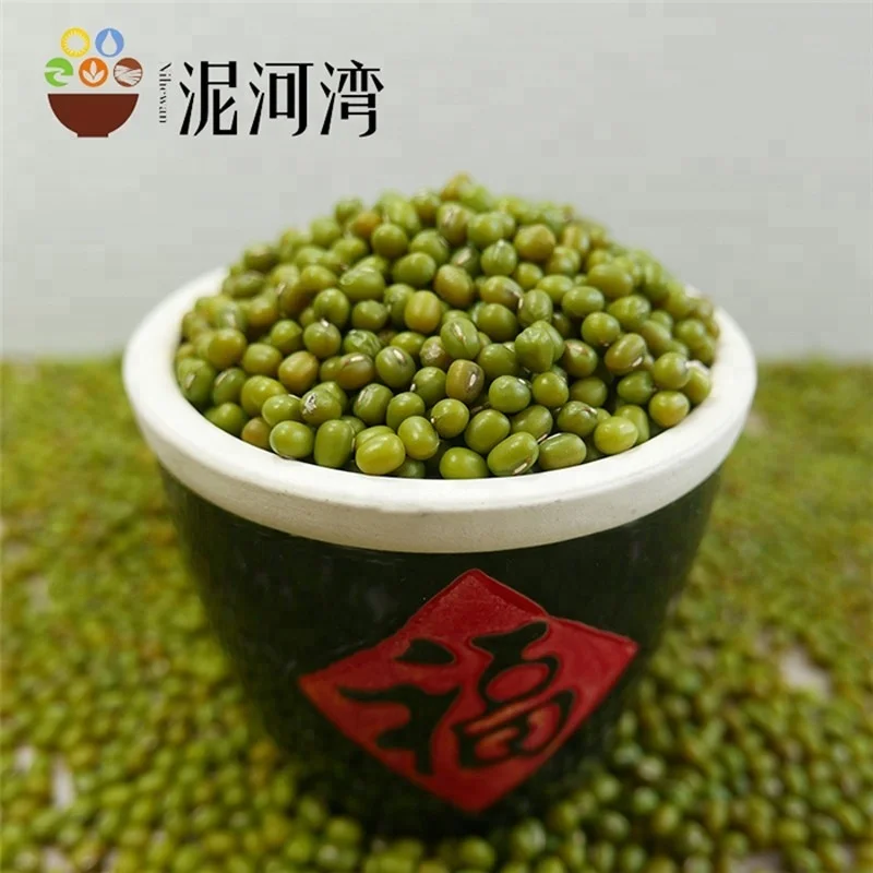 Chinese Organic Spouted Green Mung Beans