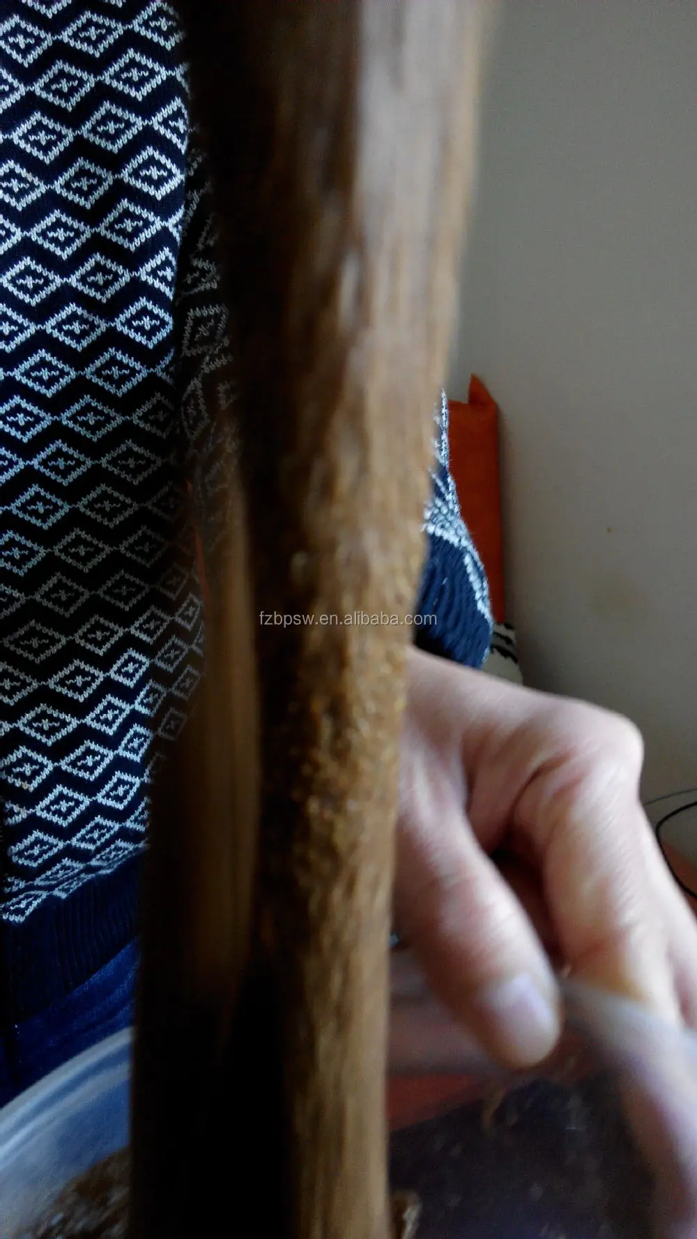 shrimp/fish feed pellet binder/adhesive