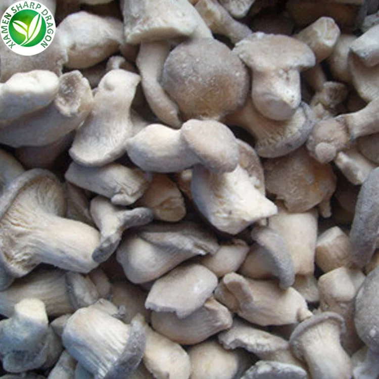 Wholesale buyers frozen oyster mushroom of price
