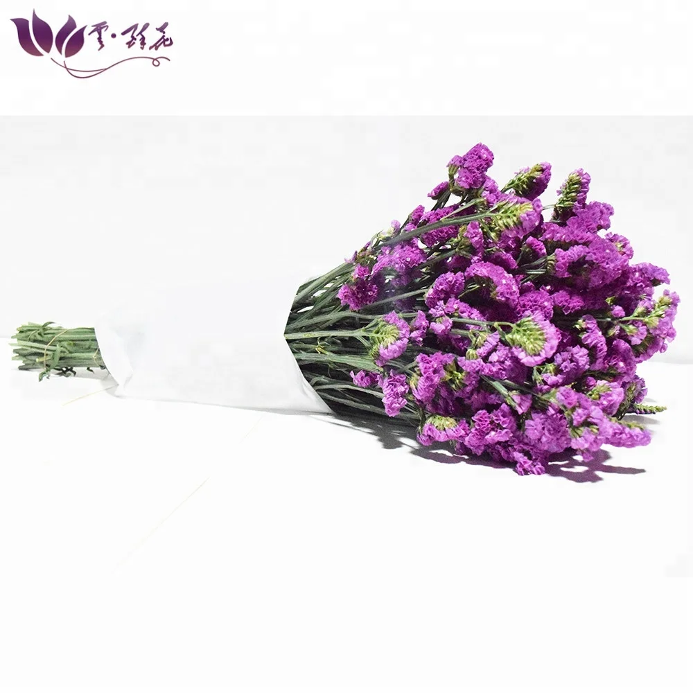 
Export colorful fresh myosotis cut flowers for holiday party 