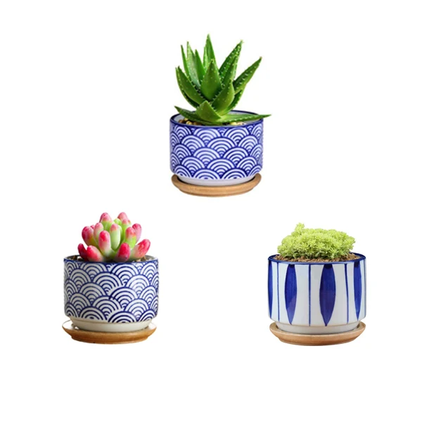 Современный сине-белый фарфоровый горшок, горшок для суккулентов, кактус, цветочный горшок из бамбука