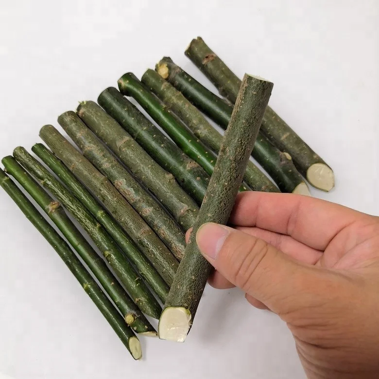 Древесина и древесина свежая резка для посадки