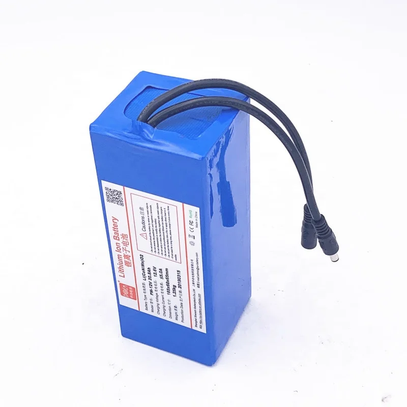 China shanghai manufacture 12 v 20ah lithium ion battery 12 volt 10 amp battery 12v 100w battery pack 20.8ah