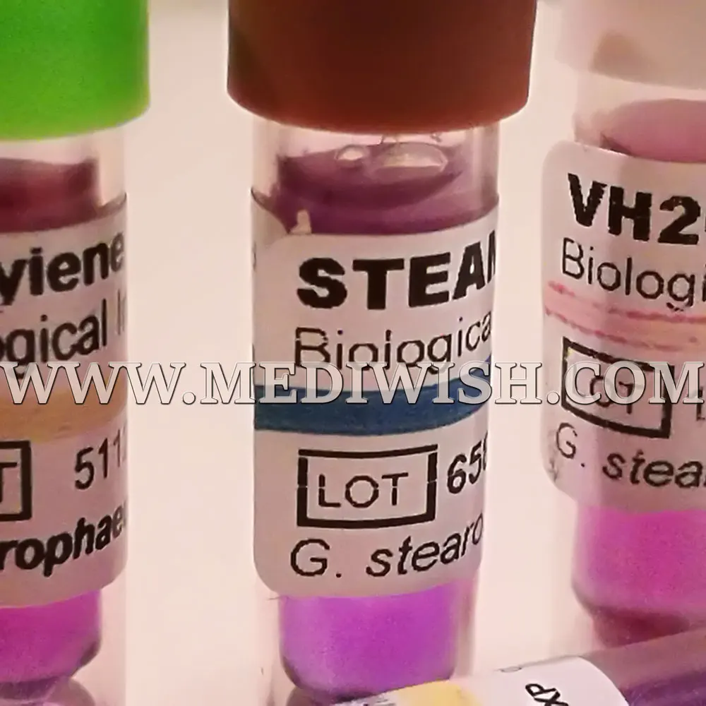 Pressure Steam steam biological indicator