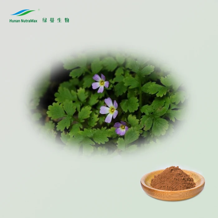 Поставщик: Nutramax-экстракт когтей кошек (4:1 ~ 20:1 от TLC)