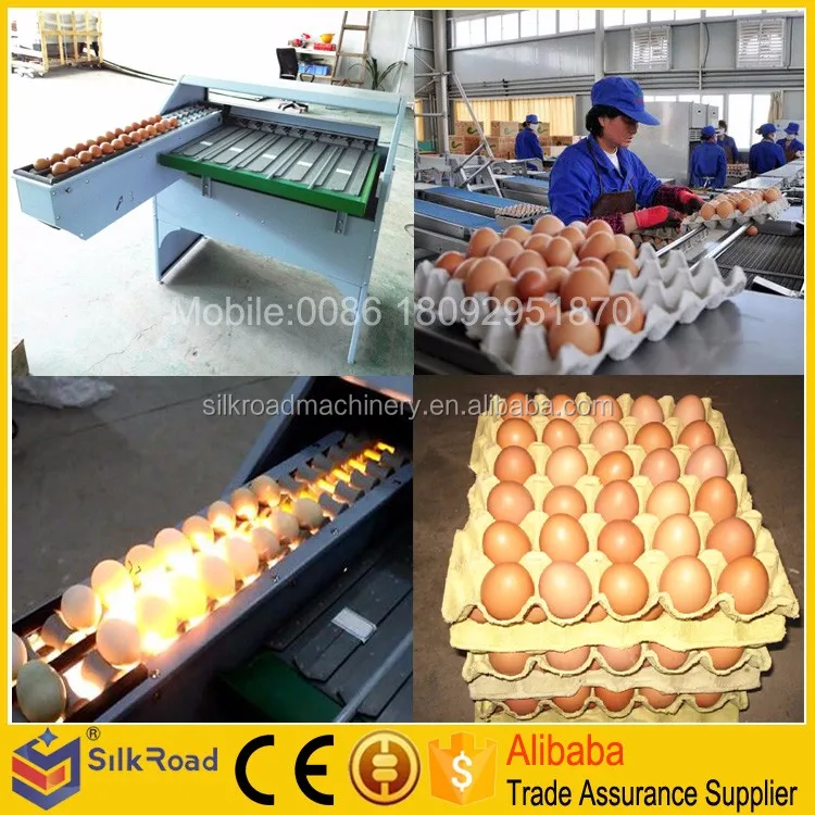High Efficiency Egg Grading and Sorting Machine for Sale