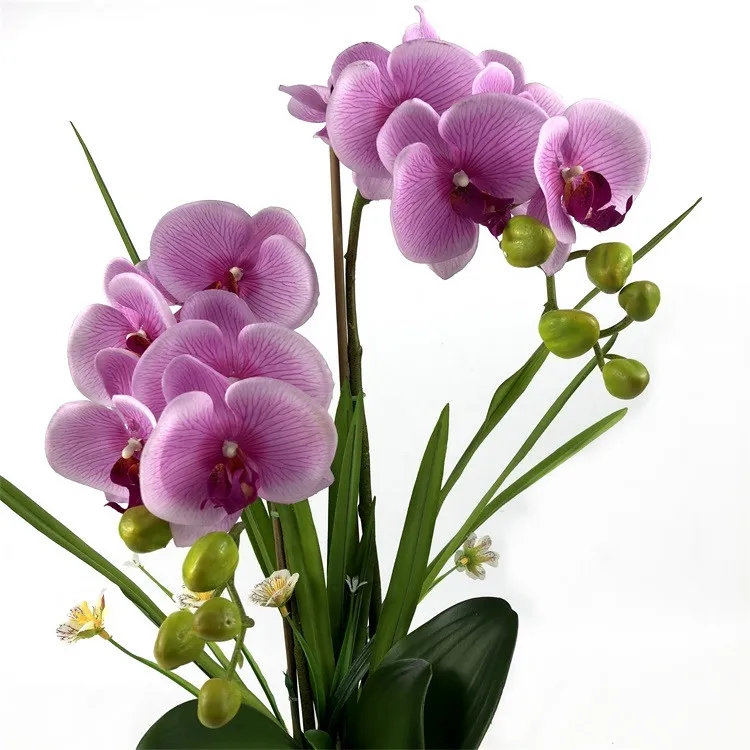 Wholesale Phalaenopsis Orchid Flower High quality Orchid Artificial Bonsai Phalaenopsis Orchid Set Real Touch Flowers
