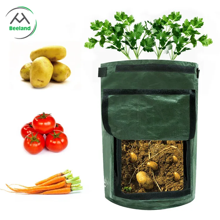 Manufacturers promote low-cost gardening bags of various vegetables