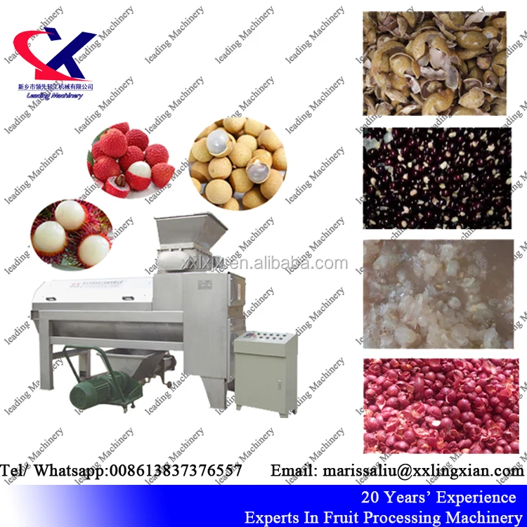 Fresh Litchi (lychee) Fruit 2-3t/h Automatic Litchi Juice Making Machine Lychee peeling and pitting machine