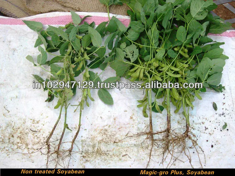 Organic vital fertilizer mix for plant growth and high yield of crops in hydroponic system