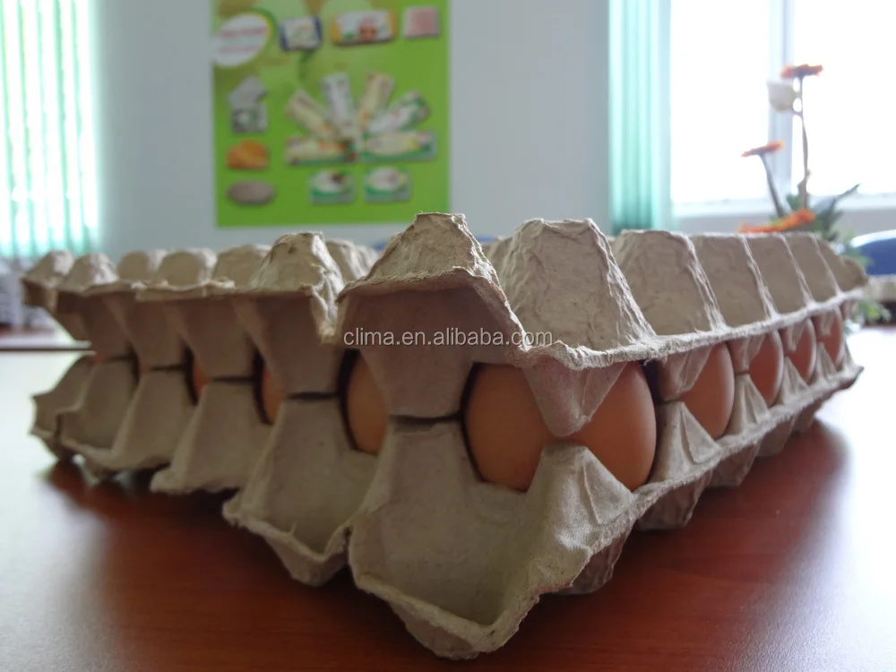 paper pulp egg tray molding machine egg box making machine