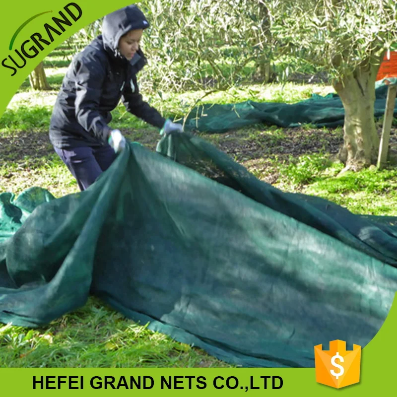 Испания греция оливковое масло сетка, Открытый оливковое коллекция сетка