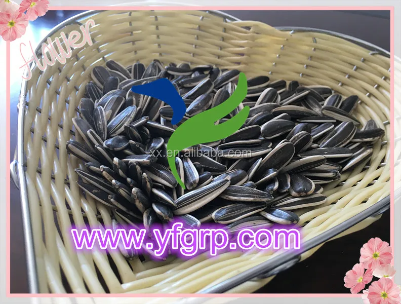 2017 Raw Dried 5009 Sunflower Seed Ton Price